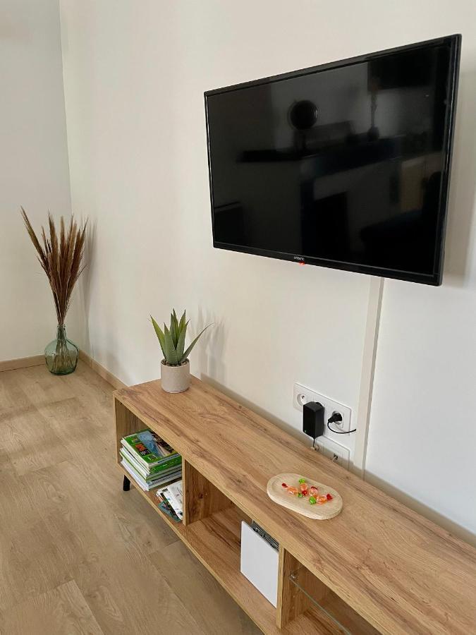 Spacieux Appartement Lumineux Coeur De Ville Pamiers Eksteriør billede